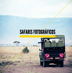 banner-que-hacer-safari