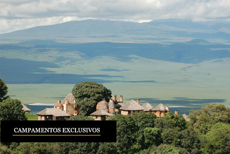 Grandes Migraciones en África - Safaris privados