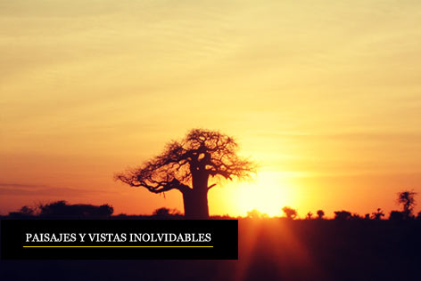 Grandes Migraciones en África - Safaris privados