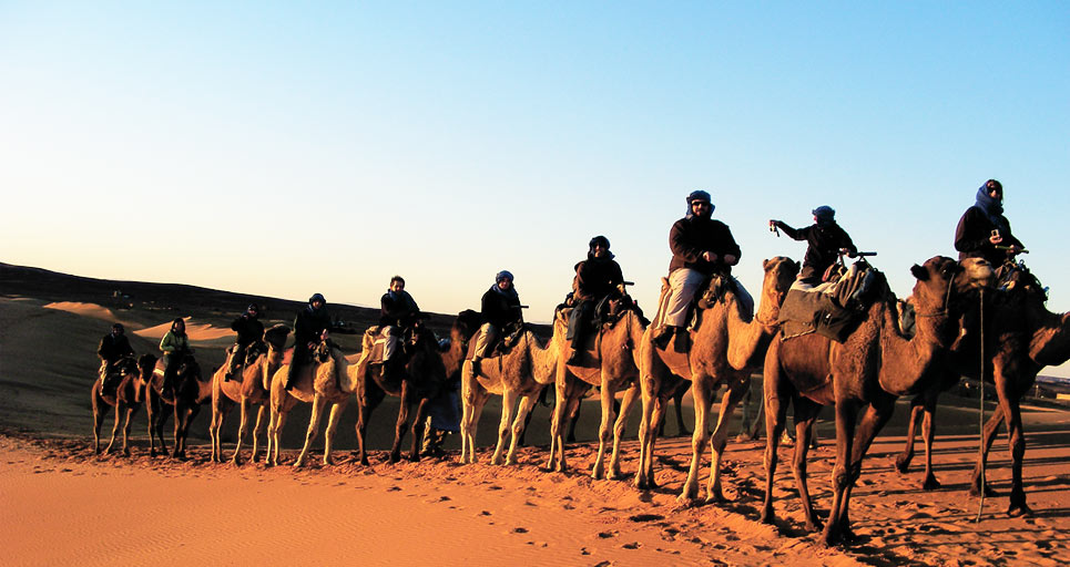 Safaris a Medida y Expediciones por todo el mundo