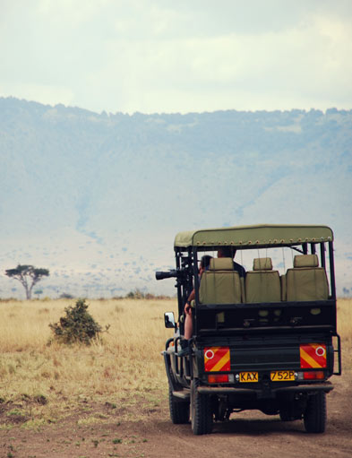 Safari de Luna de Miel en África
