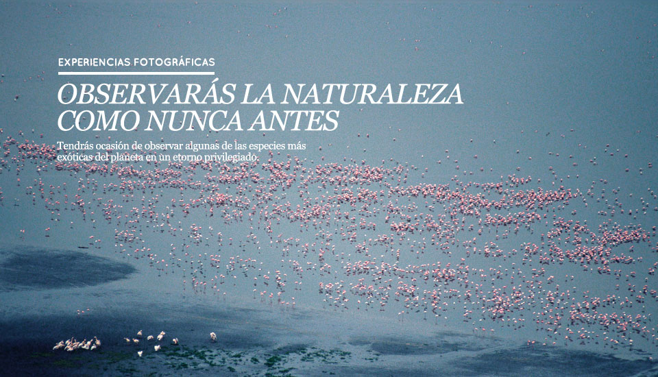 slide-01